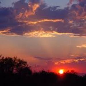 Meet your Posher, Annabelle